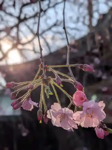 大宮八幡宮(東京都)