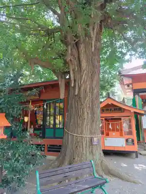 冠稲荷神社(群馬県)