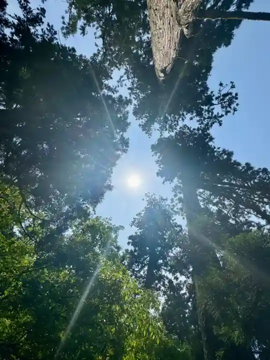 有子山稲荷神社(兵庫県)