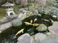 正念寺の{uncategorized: "未分類", other: "その他", undefined: "問題あり", building: "その他建物", grave: "お墓", sacred_gate: "鳥居", guardian: "狛犬", statue: "像", buddha: "仏像", history: "歴史", nature: "自然", garden: "庭園", animal: "動物", pagoda: "塔", temizu: "手水舎", mountain_gate: "山門・神門", sanctuary: "本殿・本堂", subordinate: "末社・摂社", art: "芸術", scenery: "景色", jizo: "地蔵", ema: "絵馬", goshuin: "御朱印", omikuji: "おみくじ", items: "授与品その他", amulet: "お守り", goshuincho: "御朱印帳", eats: "食事", festival: "お祭り", votive_dance: "神楽", shichigosan: "七五三参", wedding: "結婚式", experience: "体験その他", initially: "初詣", around: "周辺", anti_infection: "感染症対策"}