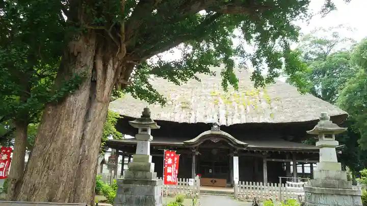 佐竹寺の本殿・本堂