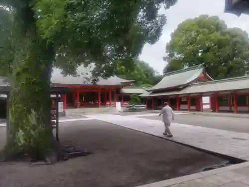 藤崎八旛宮(熊本県)