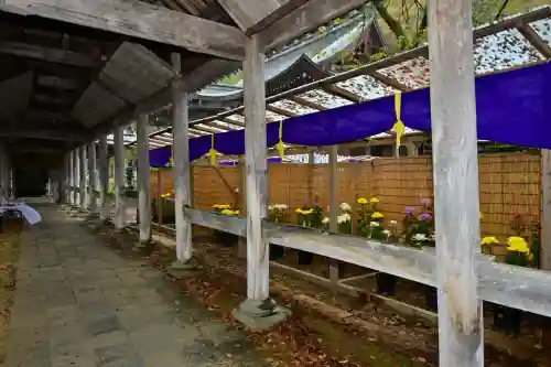 普光寺(新潟県)