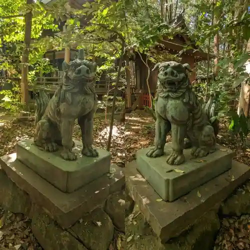 駒木諏訪神社の狛犬