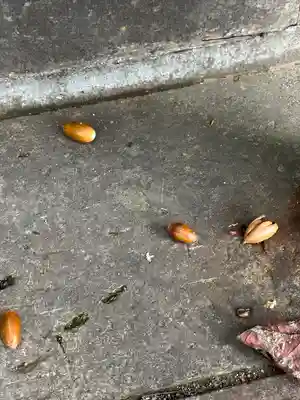 厚別神社(北海道)