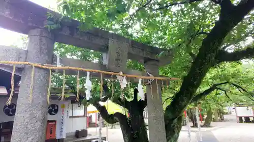 山王宮　日吉神社の鳥居