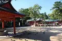 長田神社の建物その他