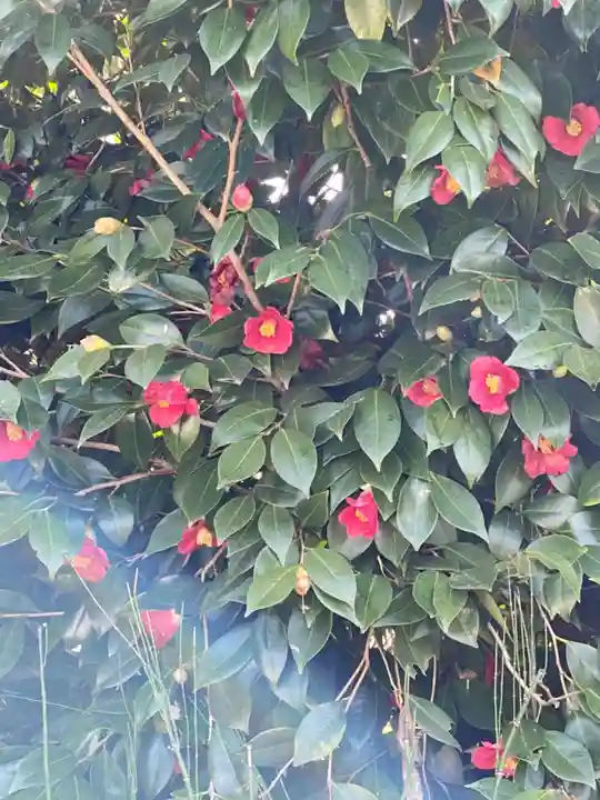 南明禪院(南明院)の自然