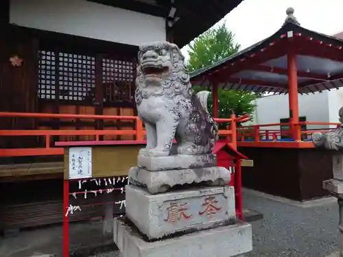 浅間神社の狛犬