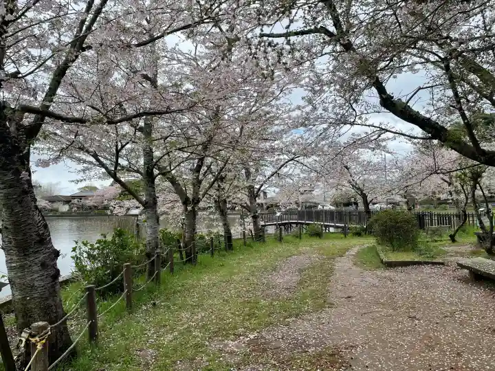 厳島神社 谷弁財天の{uncategorized: "未分類", other: "その他", undefined: "問題あり", building: "その他建物", grave: "お墓", sacred_gate: "鳥居", guardian: "狛犬", statue: "像", buddha: "仏像", history: "歴史", nature: "自然", garden: "庭園", animal: "動物", pagoda: "塔", temizu: "手水舎", mountain_gate: "山門・神門", sanctuary: "本殿・本堂", subordinate: "末社・摂社", art: "芸術", scenery: "景色", jizo: "地蔵", ema: "絵馬", goshuin: "御朱印", omikuji: "おみくじ", items: "授与品その他", amulet: "お守り", goshuincho: "御朱印帳", eats: "食事", festival: "お祭り", votive_dance: "神楽", shichigosan: "七五三参", wedding: "結婚式", experience: "体験その他", initially: "初詣", around: "周辺", anti_infection: "感染症対策"}