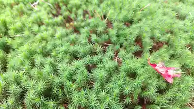 那須温泉神社(栃木県)