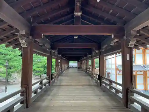 知恩院(京都府)