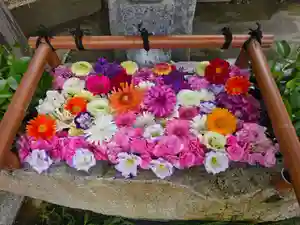 田間神社(千葉県)(2026年06月13日(土) 10時50分12秒投稿)