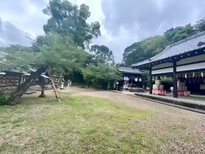 許波多神社（小幡東中鎮座）のその他建物
