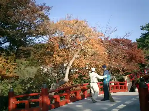 鶴岡八幡宮の景色