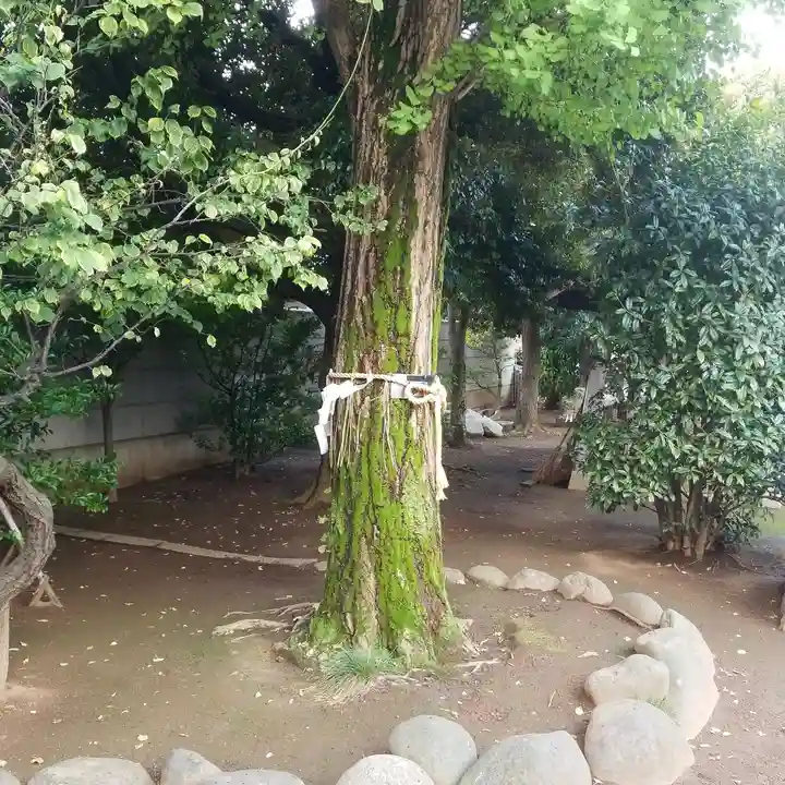 綾瀬稲荷神社の自然