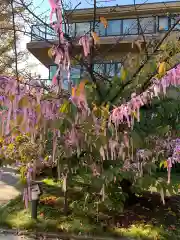 桜神宮の建物その他