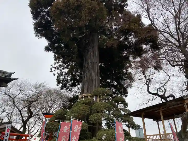 愛宕神社(宮城県)