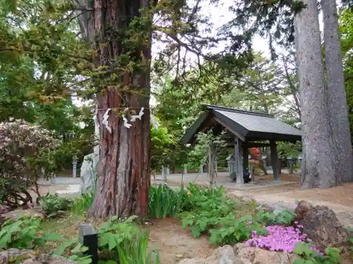 信濃神社の庭園