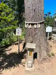 鶴峯八幡宮(千葉県)