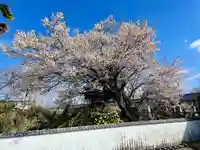 蓮行寺(栃木県)