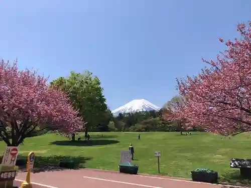 新屋山神社奥宮の景色