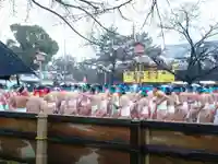 尾張大國霊神社(国府宮)のお祭り