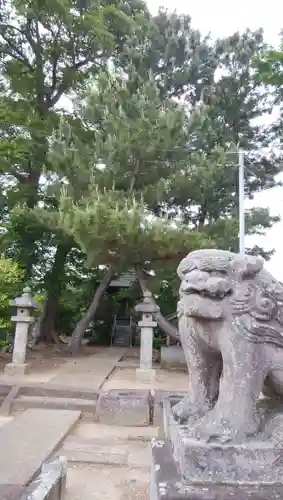 春日神社の狛犬