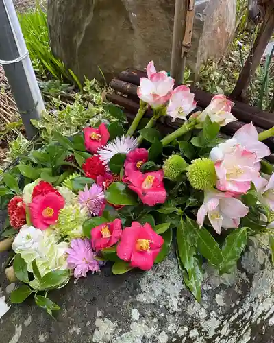岡部春日神社～👹鬼門よけの🌺花咲く🌺やしろ～の手水舎