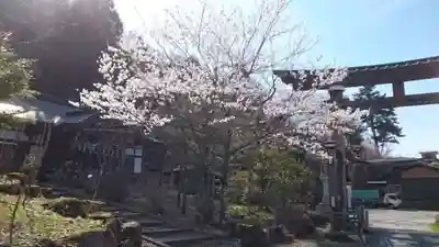 諏訪大社(長野県)