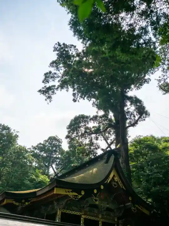 鹿島神宮(茨城県)