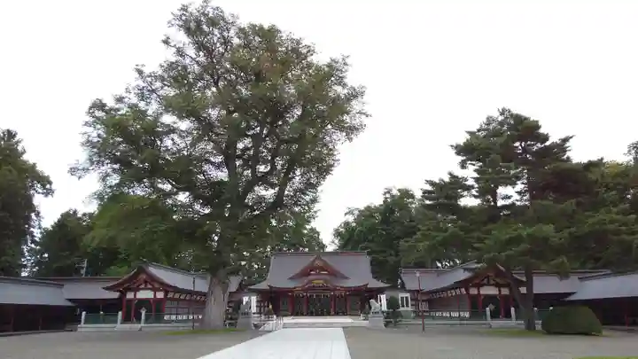 北海道護國神社の本殿・本堂