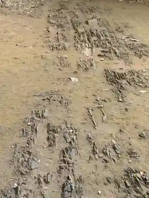 愛宕神社のその他建物