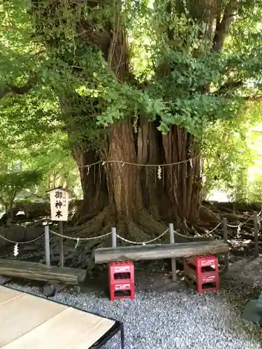 山寺日枝神社の建物その他