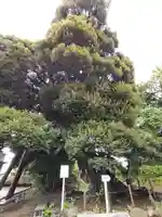 九重神社(埼玉県)