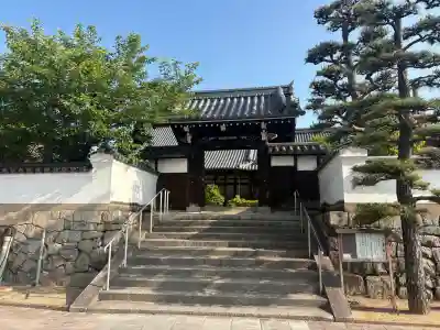 観音寺の{uncategorized: "未分類", other: "その他", undefined: "問題あり", building: "その他建物", grave: "お墓", sacred_gate: "鳥居", guardian: "狛犬", statue: "像", buddha: "仏像", history: "歴史", nature: "自然", garden: "庭園", animal: "動物", pagoda: "塔", temizu: "手水舎", mountain_gate: "山門・神門", sanctuary: "本殿・本堂", subordinate: "末社・摂社", art: "芸術", scenery: "景色", jizo: "地蔵", ema: "絵馬", goshuin: "御朱印", omikuji: "おみくじ", items: "授与品その他", amulet: "お守り", goshuincho: "御朱印帳", eats: "食事", festival: "お祭り", votive_dance: "神楽", shichigosan: "七五三参", wedding: "結婚式", experience: "体験その他", initially: "初詣", around: "周辺", anti_infection: "感染症対策"}