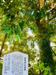 大鷲神社の歴史