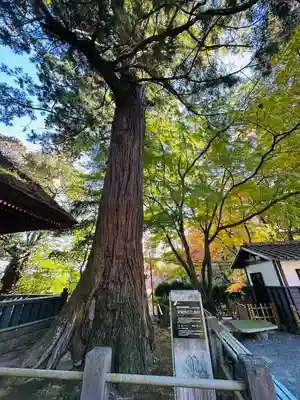 宝城坊(神奈川県)