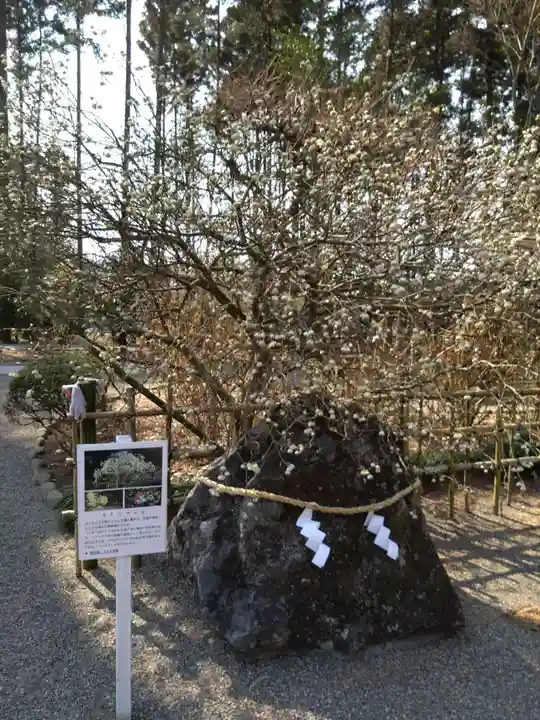 芳賀天満宮(栃木県)