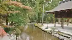 賀茂別雷神社（上賀茂神社）の庭園