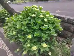 龍長院(神奈川県)