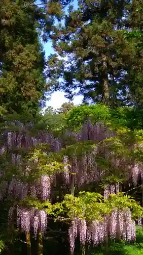 歌泉堂（春日大社神苑萬葉植物園内鎮座）(奈良県)