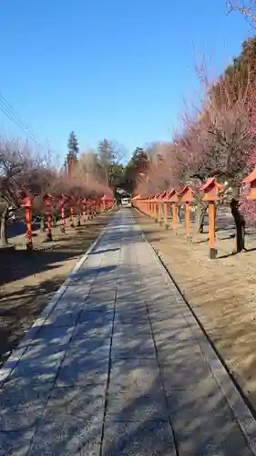 朝日森天満宮(栃木県)