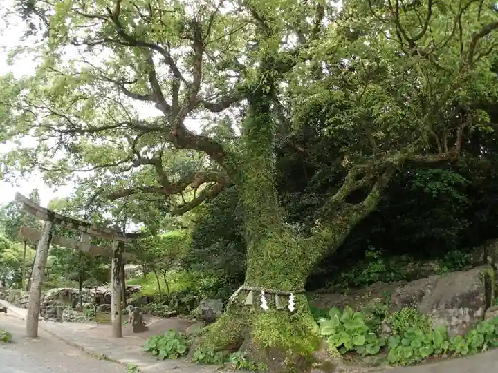 立磐神社のその他建物