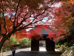 普門寺(切り絵御朱印発祥の寺)の山門