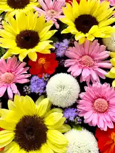 鹿島台神社(宮城県)(2022年09月16日(金) 09時27分27秒投稿)