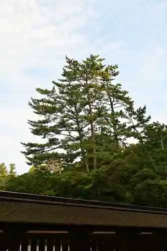 出雲大社(島根県)