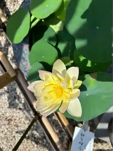 香勝寺(静岡県)