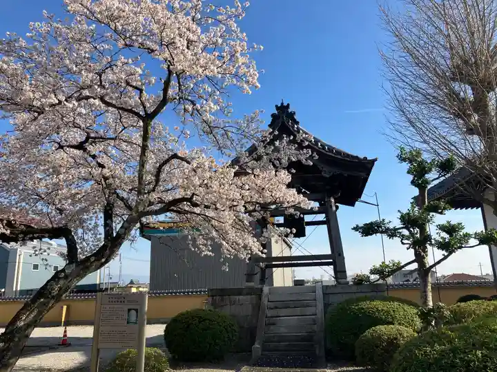 真宗大谷派本願寺別院(五村別院)(滋賀県)