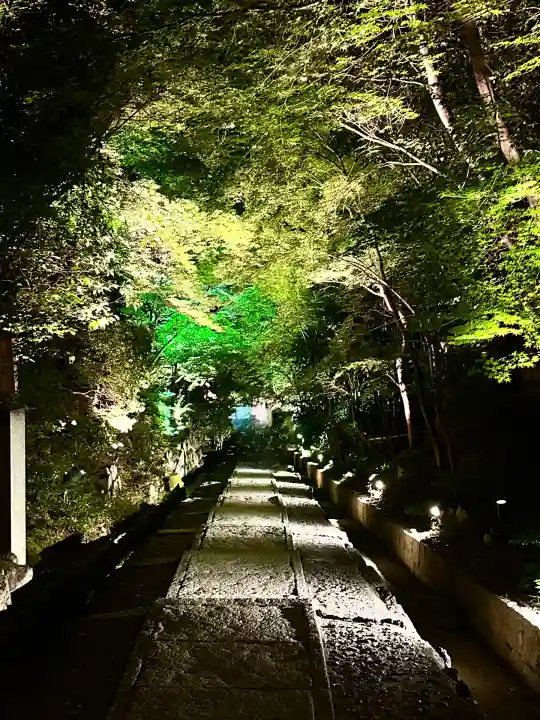 高台寺(高台寿聖禅寺・高臺寺)(京都府)